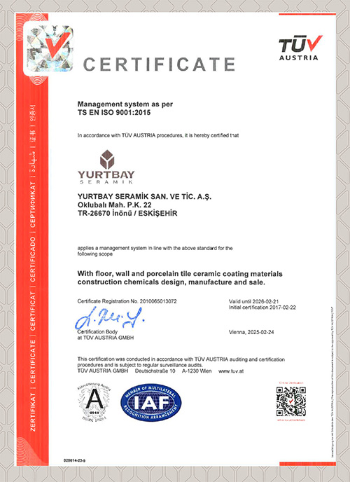 ISO 9001 2015 KYS (İNG)