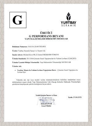 TS 13566 G Beyanı 2015